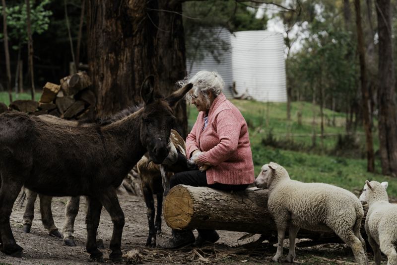 Elizabeth with the donkeys and sheep