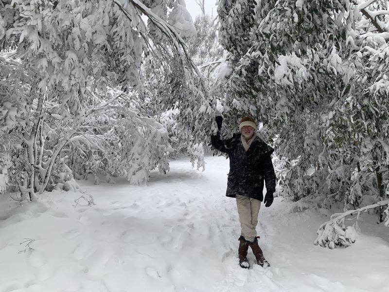 Snow on the farm