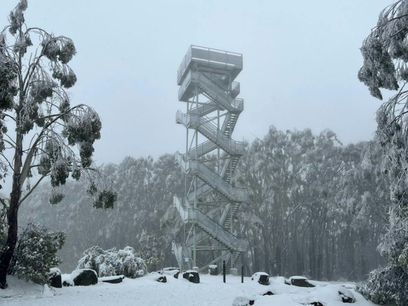 Snow at the Mt Donna Buang summit