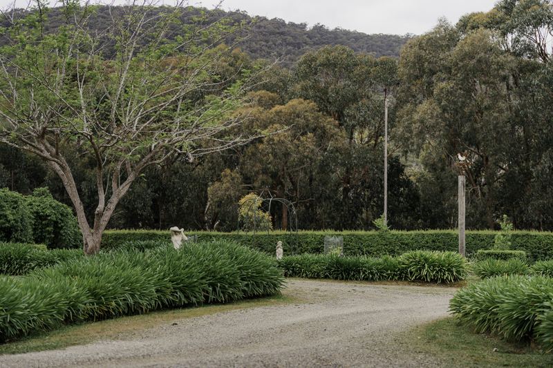 The driveway curving through the garden