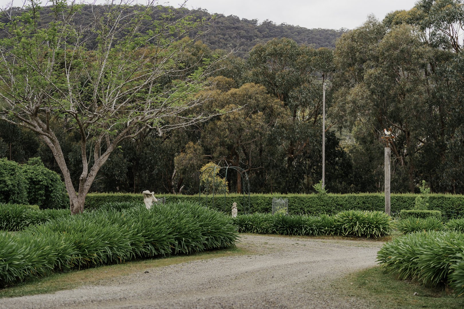 The driveway curving through the garden