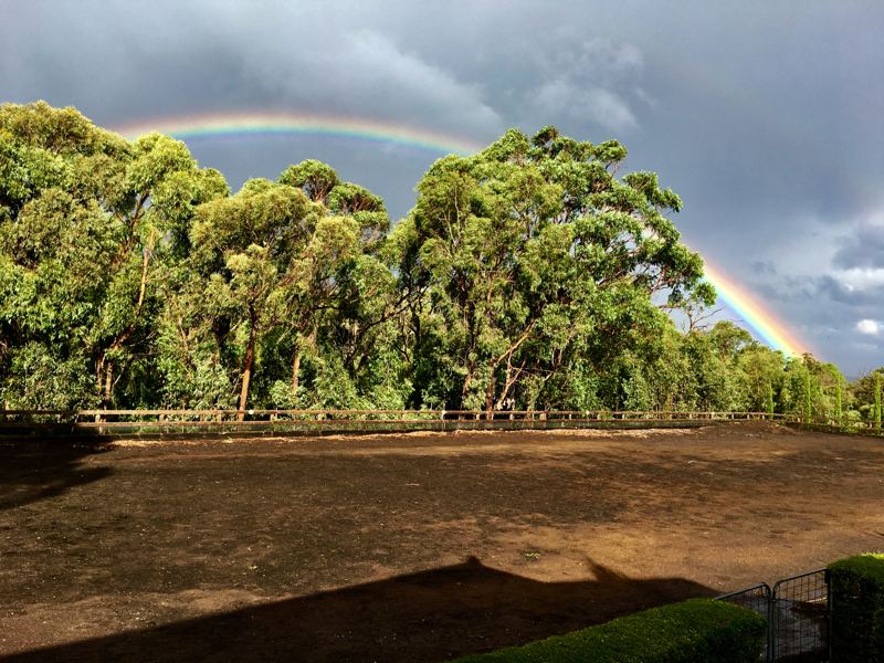 A rainbow over the gums
