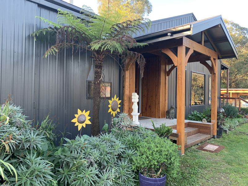 A timber porch framed by tree ferns