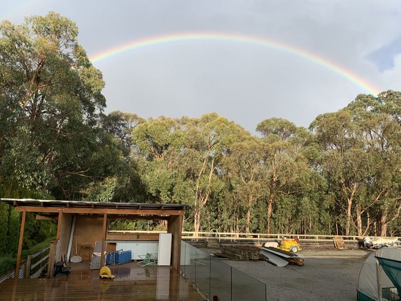A rainbow over the forest from the deck
