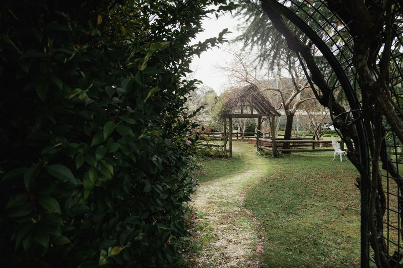 A garden path under the arch