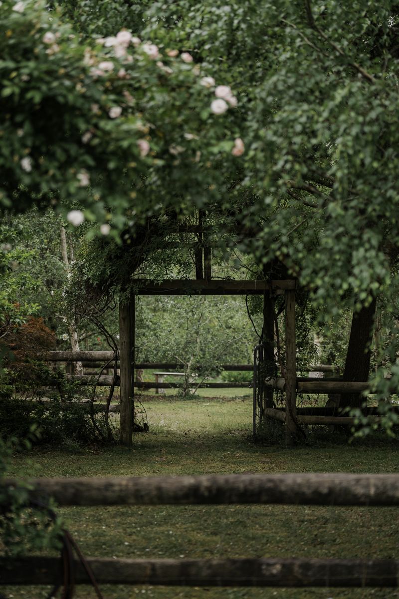 A rose arch in the garden