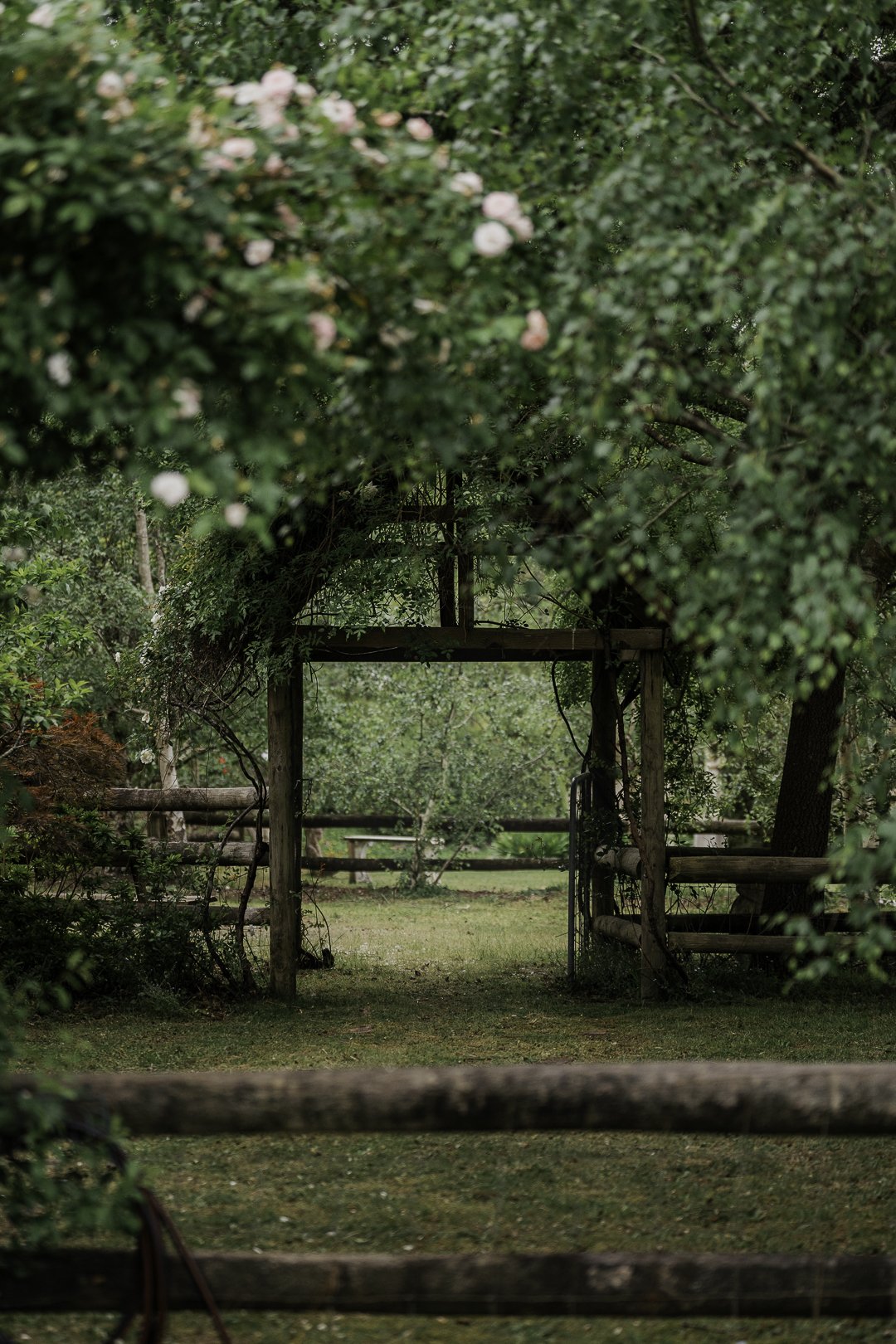 A rose arch in the White Rose garden