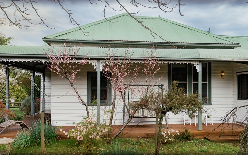White Rose Cottage in spring blossom